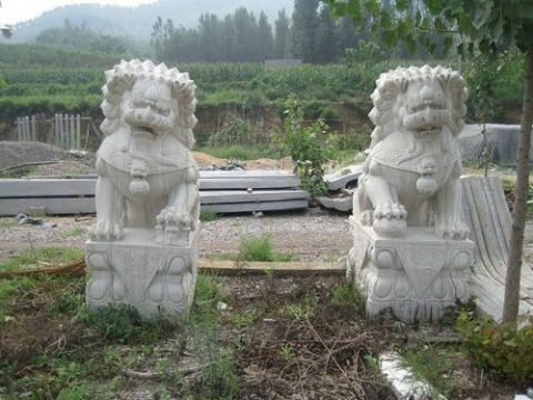 點(diǎn)擊查看詳細(xì)信息<br>標(biāo)題：石雕獅子8 閱讀次數(shù)：1043